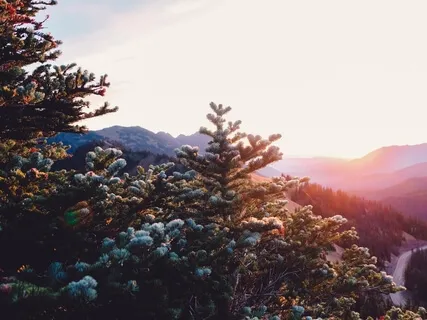 Being A Loving Witness To Ourselves