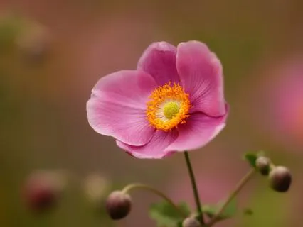 Being Alone On A Day You Hoped You Would Be Held