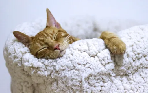 Being And Doing Enough: A Meditation