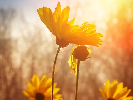 Being And Energetic And Mindful