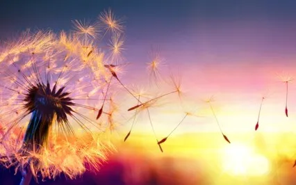 Being & Playful Breathing