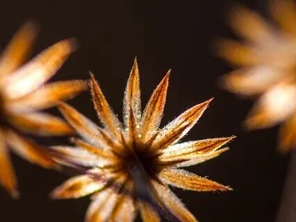 Being Around Someone You Love And Disagree With