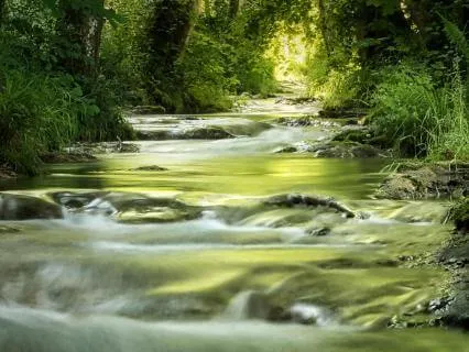 Being At Ease In Your Life - With Stream Sounds