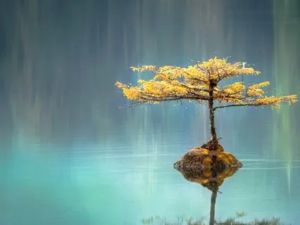 Being At Peace In Challenging Situations - Kevin Schoeinger