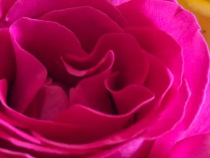 Being Aware Of The Importance Of Breath