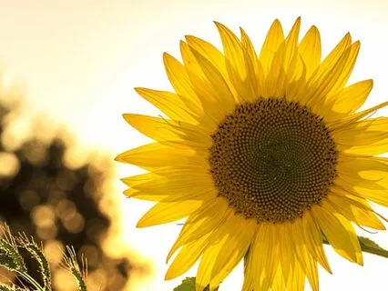 Being Busy Is A Distraction: 5 Reasons To Stop Now