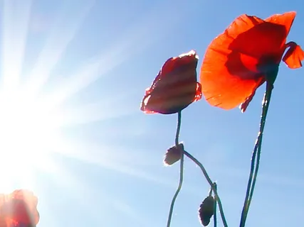 Being - Calming Acoustic Ambient Violin Improvisation For Relaxation, Meditation, Yoga (432Hz)