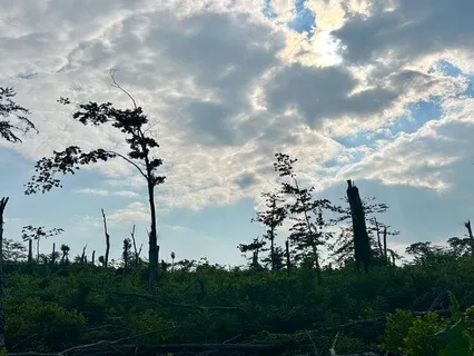 Being Compassionate With Challenging Experiences