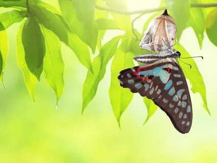 Being Consistent Is Contributing To That Overwhelmed Feeling