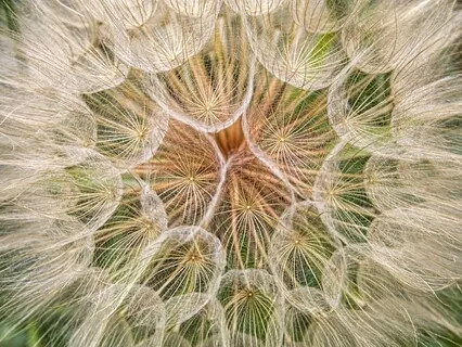 Being, Doing & Having - Part 3