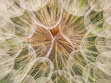 Being, Doing & Having - Part One