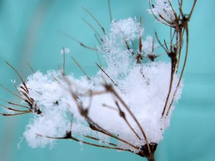 Being Frozen: A Meditation For When You Can't Move