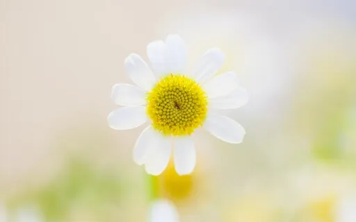 Being Gentle With Yourself