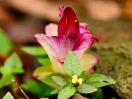 Being Grateful For Our Well-being