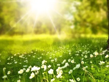 Being Happy Is Our Most Intimate & Fundamental Experience