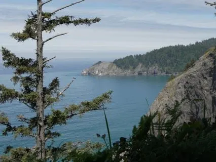 Being Held By Land And Breath