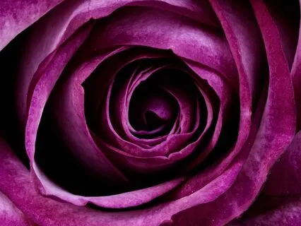 Being Here Meditation