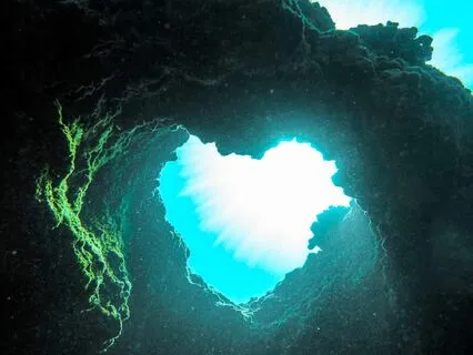 Being Honest With Yourself