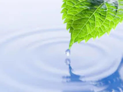 Being In Flow With Nature