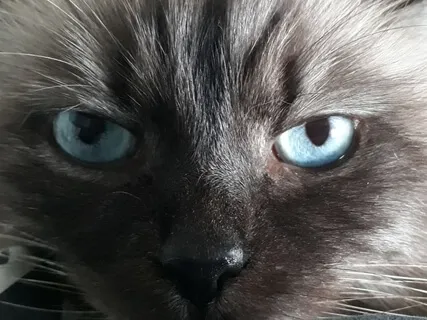 Being In Relationship With Urgency