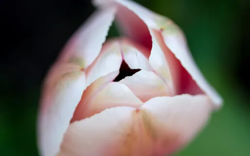 Being In The Body: A Body Awareness Meditation