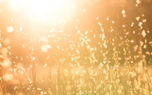 Being In The Contradictions Of Parenthood