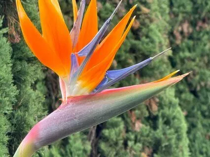 Being In The Heart Of Goodness