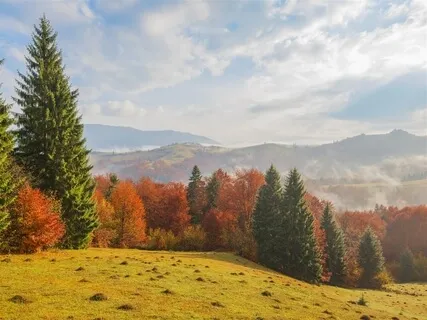 Being In The Moment (Meditation Music With Forest Sounds)