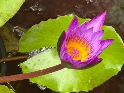 Being Inspired By The Source Of Goodness Within