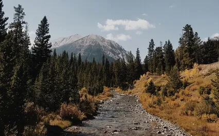 Being Is My Superpower