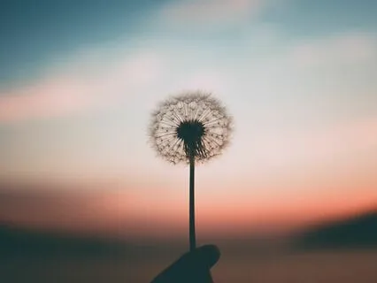 Being Left Out- Energy Clearing