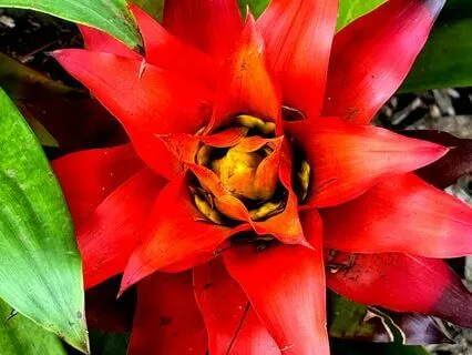 Being Light And Love Meditation