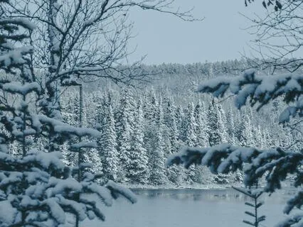 Being Nourished By Being