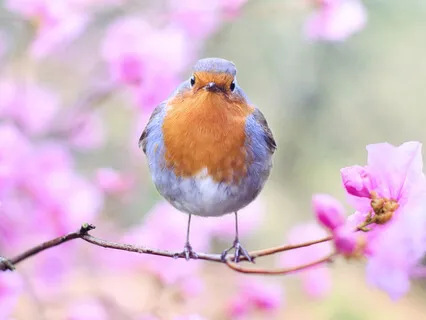 Being Ourselves In Relationships 