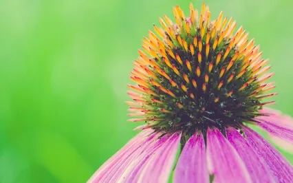 Being Personal, The Mind Is Trapped In Verbal Positivity