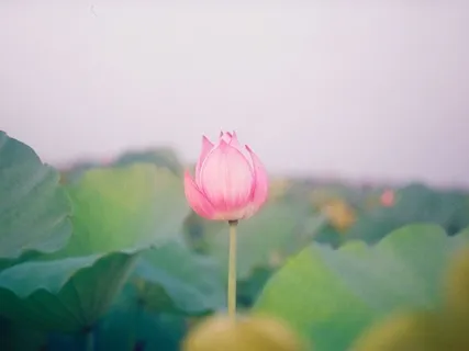 Being Positive And Grateful 