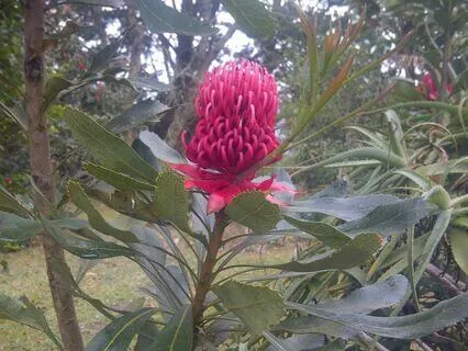 Being Pregnant; Feeling Into The Heart Centre