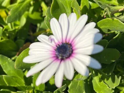 Being Pregnant: The Miracle of Creation