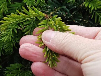 Being Present | Focussing On Our Sense Of Touch