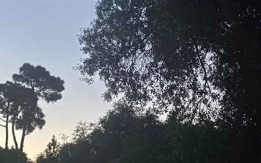 Being Present Here And Now