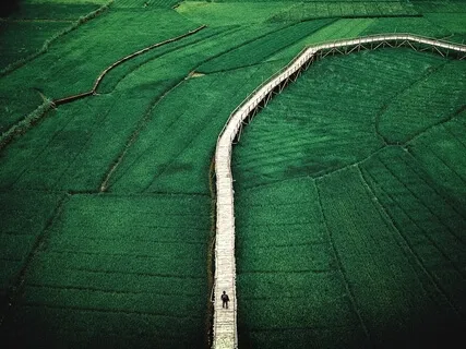 Being Present In The Moment