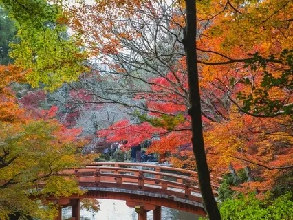 Being Present Practice Day 7 - Mantra Of Gratitude