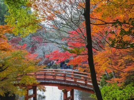 Being Present Practice Introduction