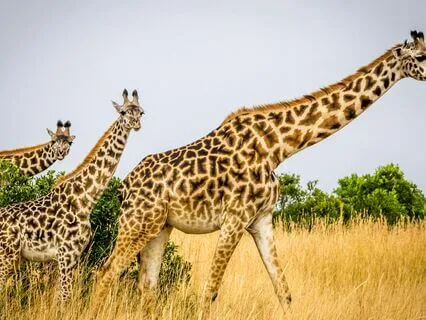 Being Present: Reflective Meditation For Stress Relief