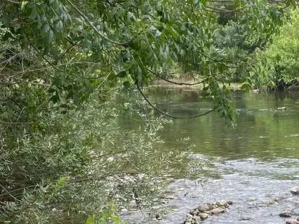 Being Present To The Problems