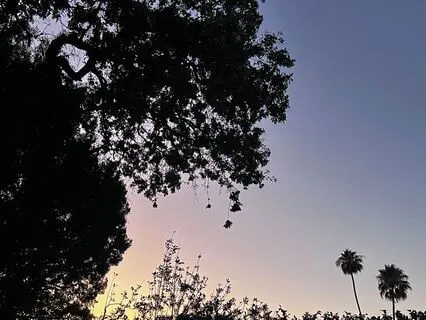 Being Present With What Is