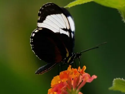 Being Reborn As Your True Self