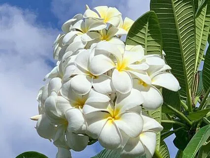 Being True To The Source