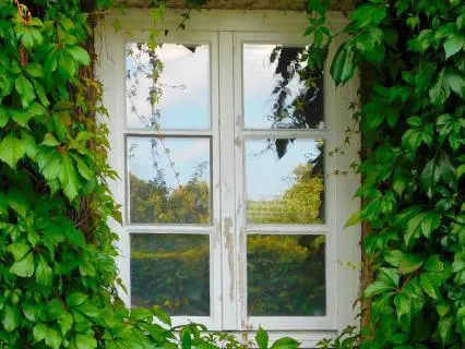 Window of Resilience - Managing Stress and Anxiety