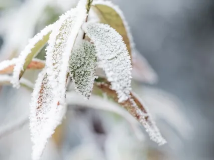 Being With A Full Mind